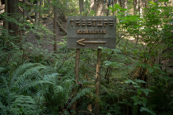 Capilano Suspension Bridge Park 