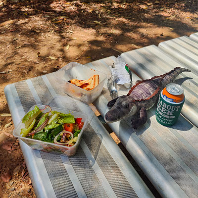 Litchfield Nationalpark - ein Bad am Walker Creek