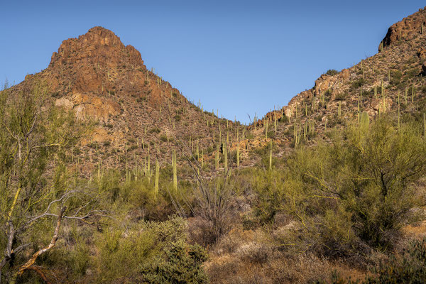 Gates Pass Scenic Lookout - Aussicht zum Tucson Mountain Park