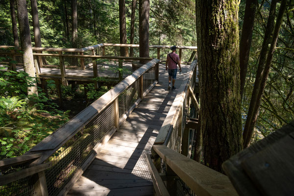 Capilano Suspension Bridge Park 