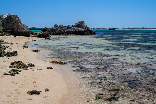 Penguin Island, Rockingham 