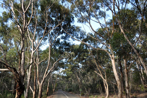 Unterwegs auf Kangaroo Island