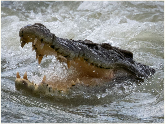 Cahills Crossing - Flut East Alligator River