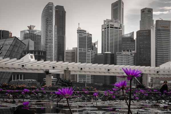 Bayfront - Sicht zur Skyline am Marina Blvd.