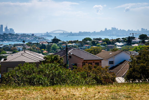 Coastal Cliff Walk - Dudley Page Reserve / Dover Heights