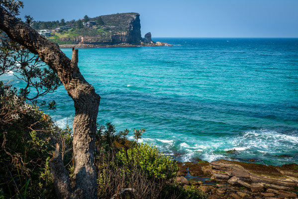 Avalon Beach 