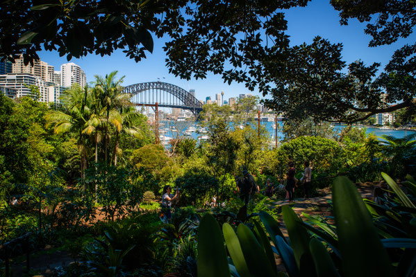Lavender Bay - Wendy's Secret Garden