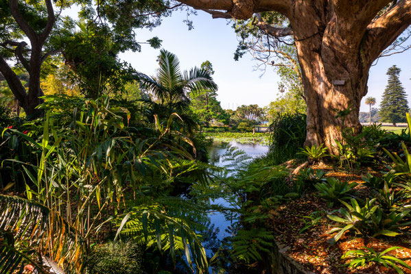 Royal Botanic Garden