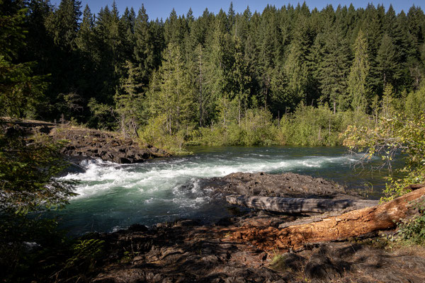 Elk River Provincial Park - Rundwanderung