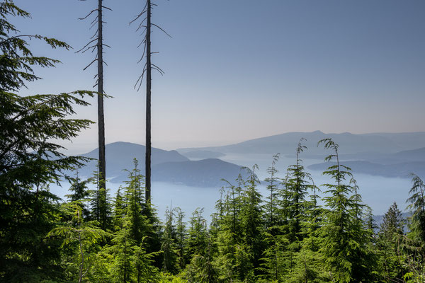 Cypress Provincial Park - Bowen Lookout, Sicht auf Vancouver Island