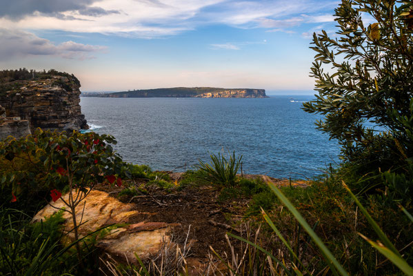 Federation Cliff Walk/Coastal Cliff Walk
