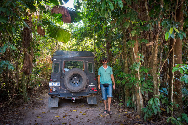 Djiru National Park direkt bei Mission Beach