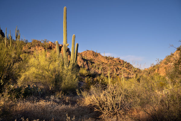 Picture Rock Trail - vor Sonnenuntergang