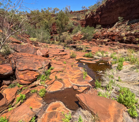 Weano Gorge, Karijini Nationalpark