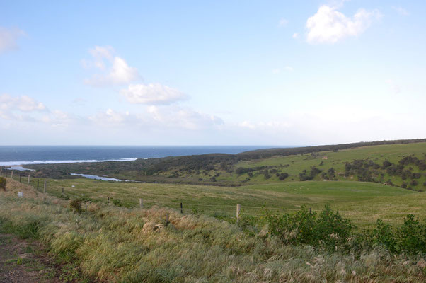 Newland Head Conservation Park 