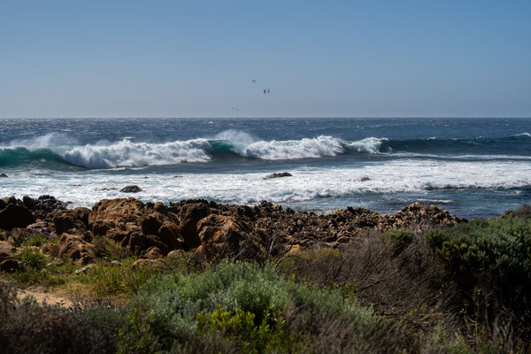 die Bucht von Yallingup - der Strand