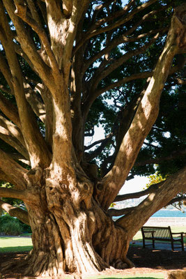 Botanischer Garten