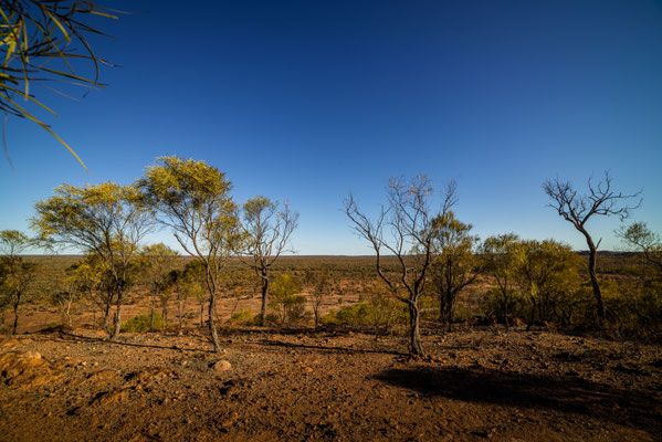 vor Quilpie - Baldy Hill Lookout