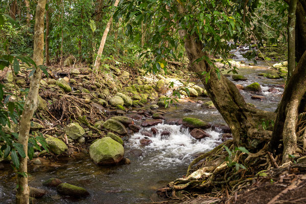 Fishery Falls Cairns Holiday Park - Fishery Falls Creek