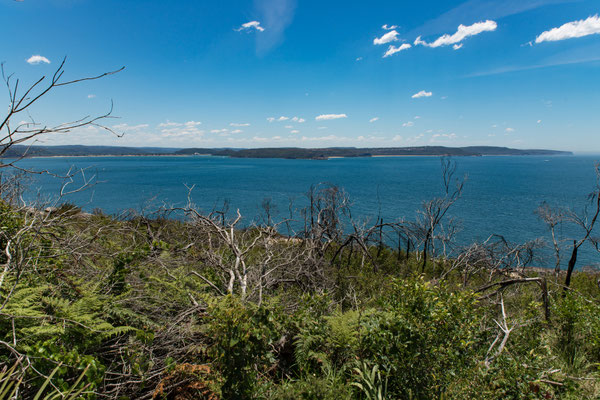 Beim Barrenjoey Liththouse - Aussicht weiter nach Norden