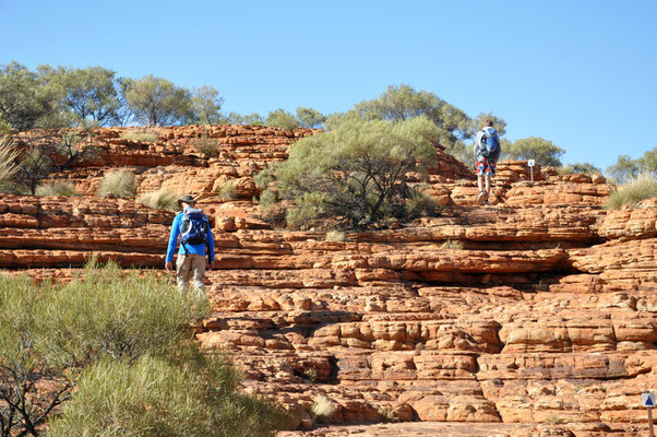 Kings Canyon Rim Walk