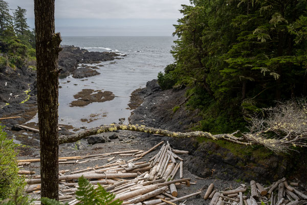 Ucluelet - Wild Pacific Trail