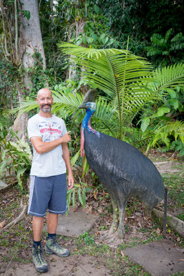 Camping Lync-Haven Rainforest Retreat