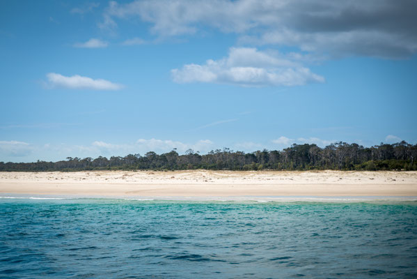 Auf dem Weg zu den Walen - Moreton Island im Hintergrund