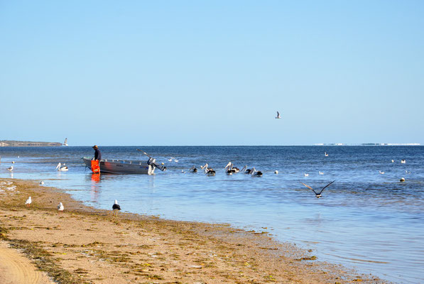 Baird Bay - Bucht