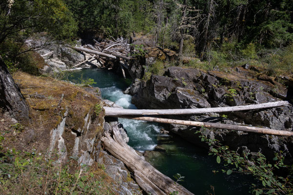 Little Qualicum Falls Provincial Park - Rundwanderung