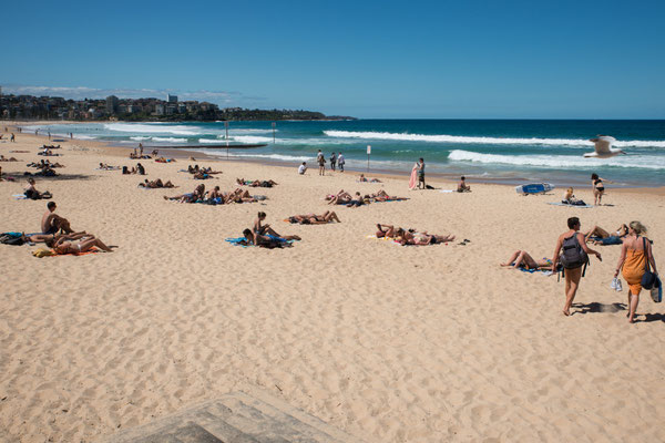 Manly Beach
