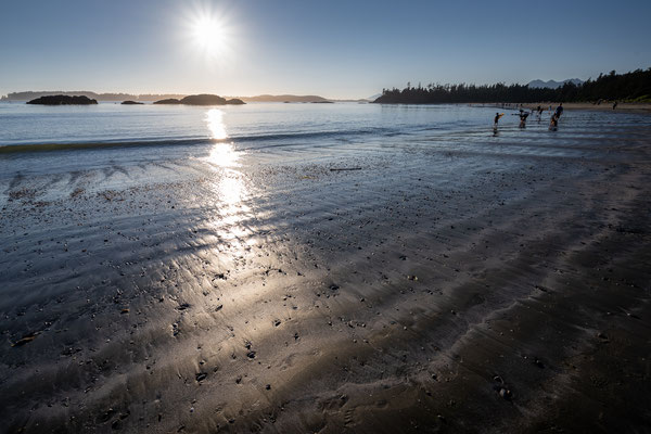 Tofino - MacKenzie Beach