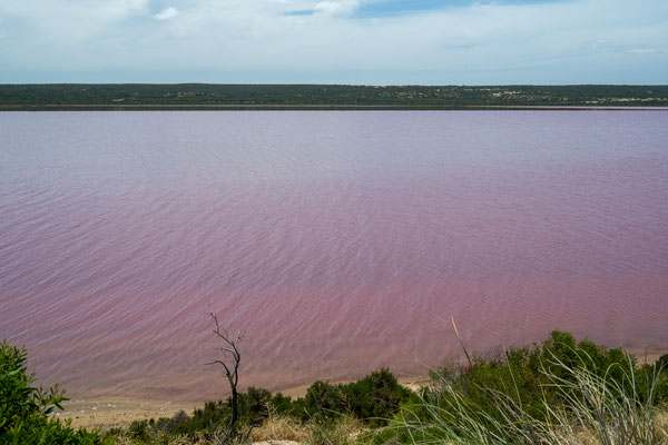Hutt Lagoon bei Gregory