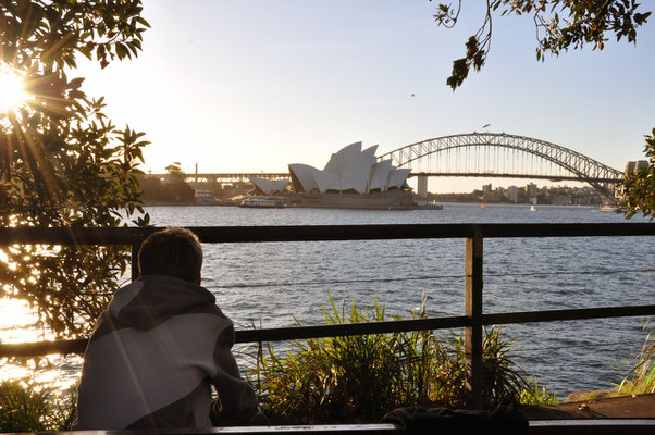 Opara und Harbour Bridge vom Botanischen Garten aus