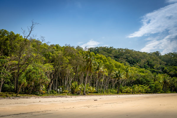 Coconut Beach