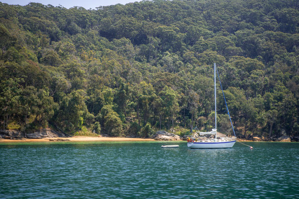 Auf der Fähre zum Kuring-gai National Park 