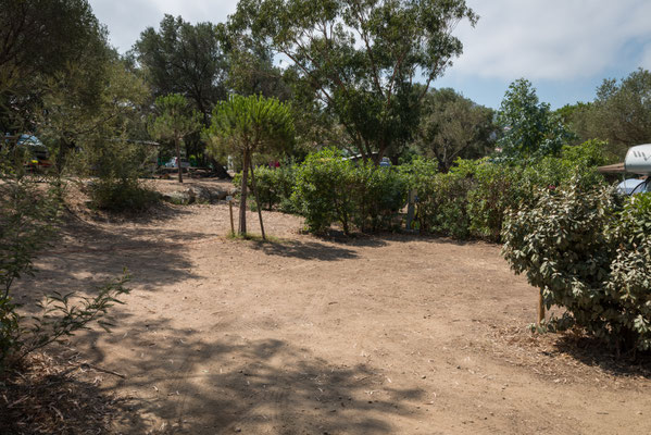 2016 - Camping 'Les Oliviers' 