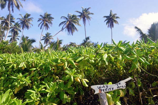 Auf dem Weg zur Petit Anse und Anse Coco