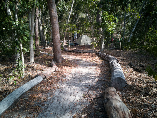 Der Nationalpark-Campingplatz am Whitehaven Beach - unser Platz!