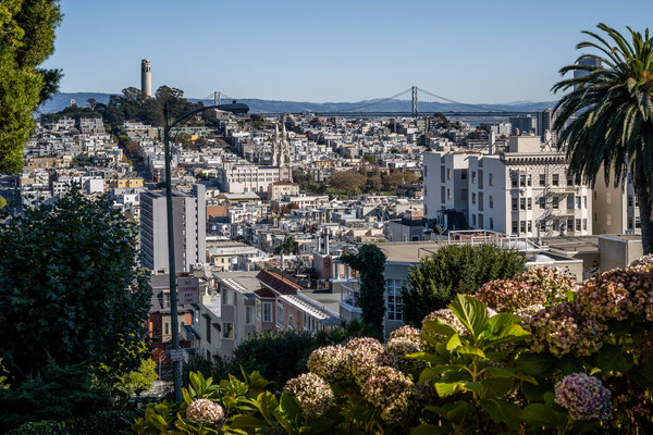 San Francisco City - Aussicht vom Russian Hill zum Telegraph Hill