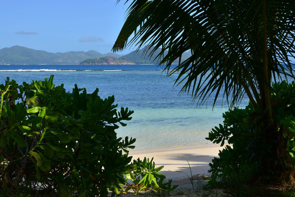 vor dem Beach-Chalet