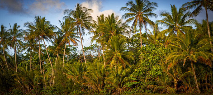 Mission Beach am frühen Morgen