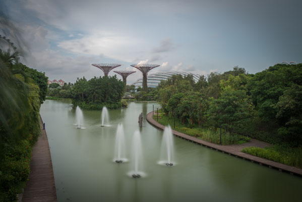 Garden of the Bay - mit Supertrees im Hintergrund