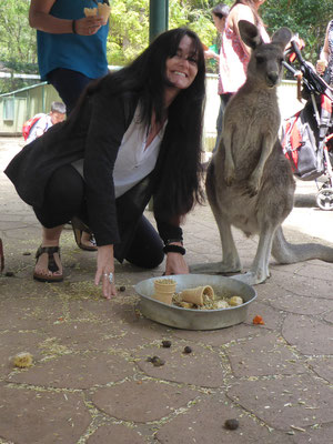 Featherdale Wildlife Park