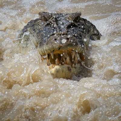 Cahills Crossing, Kakadu Nationalpark - die Flut