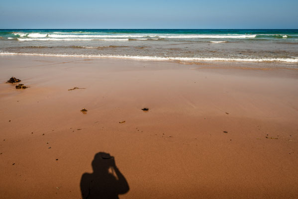 Bilgola Beach 