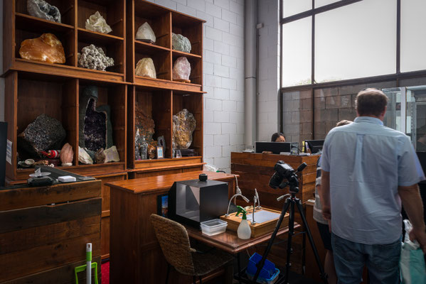 Opal Auction Head Office