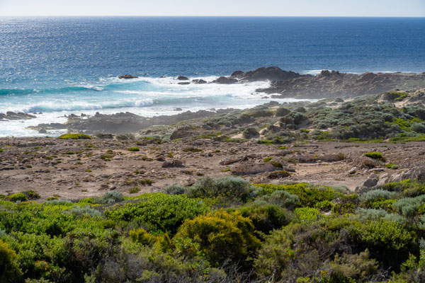 Cape Naturaliste Walk