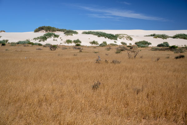 Maggie's Camp, Ningaloo Coast - Sanddüne