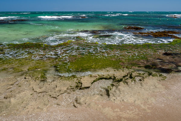 Penguin Island, Rockingham - West Beach